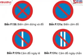 BIỂN CẤM DỪNG, CẤM ĐỖ: Ý NGHĨA & MỨC PHẠT TÀI XẾ CẦN BIẾT