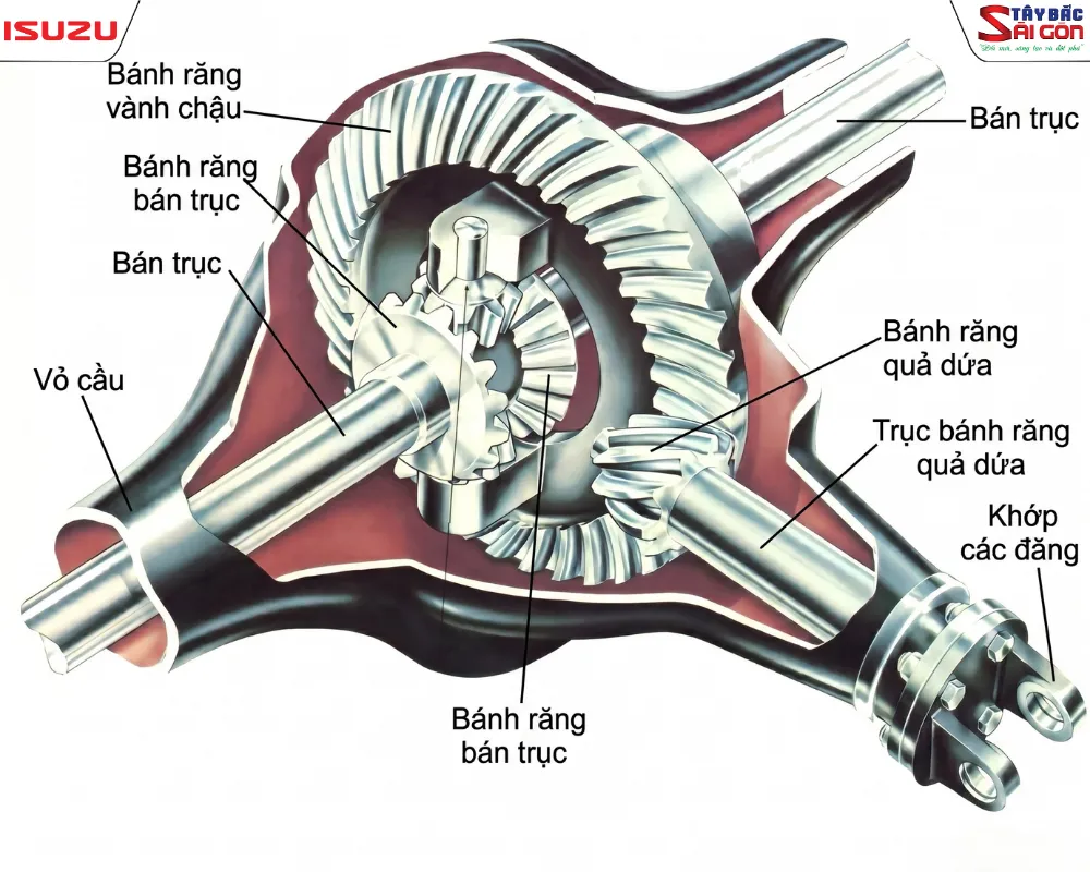 Sơ đồ cấu tạo cầu xe ô tô Isuzu và bộ vi sai chi tiết